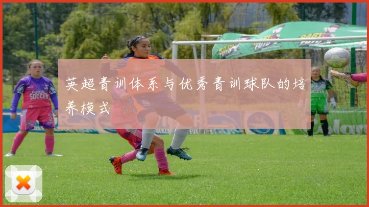 英超青训体系与优秀青训球队的培养模式