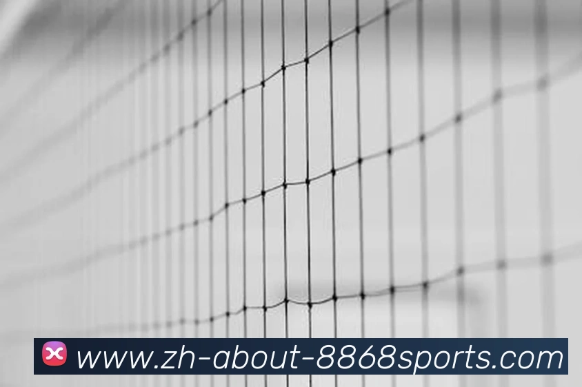 8868体育全站App 8868体育全站App